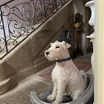 Le Chateau De Failloux, Piscine Interieure, Sauna 住宿加早餐酒店 4*