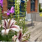 Le Chateau De Failloux, Piscine Interieure, Sauna 4* 埃皮纳勒