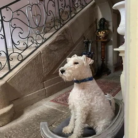 Le Chateau De Failloux Bed and Breakfast 3*