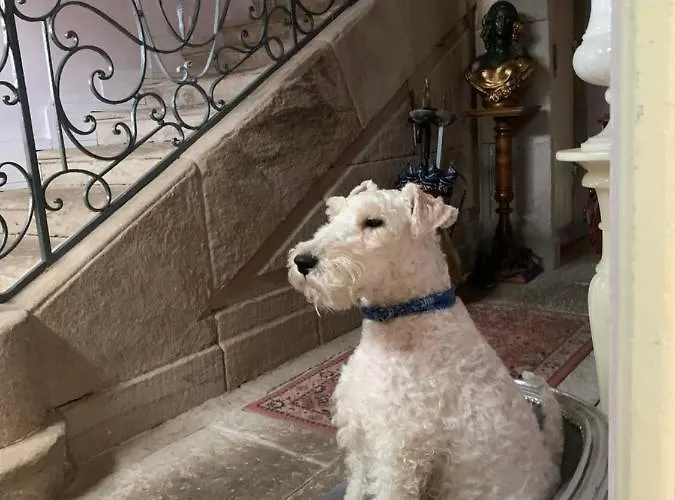 Le Chateau De Failloux, Piscine Interieure, Sauna Oda ve Kahvaltı 4*