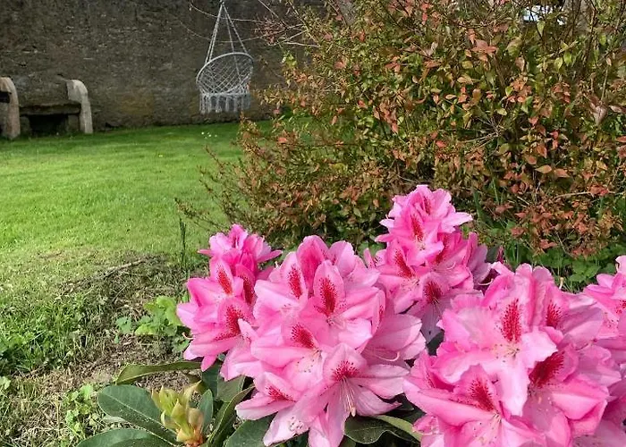 Le Chateau De Failloux, Piscine Interieure, Sauna Bed & Breakfast 4*