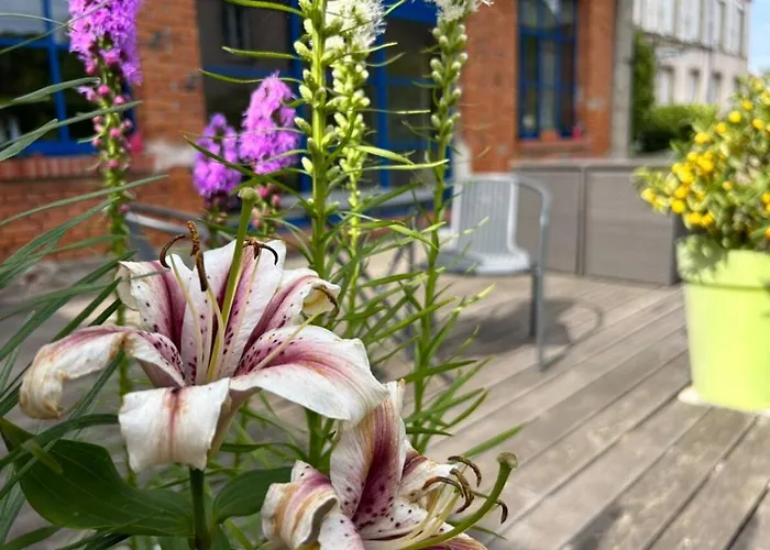 Le Chateau De Failloux, Piscine Interieure, Sauna 4* Épinal